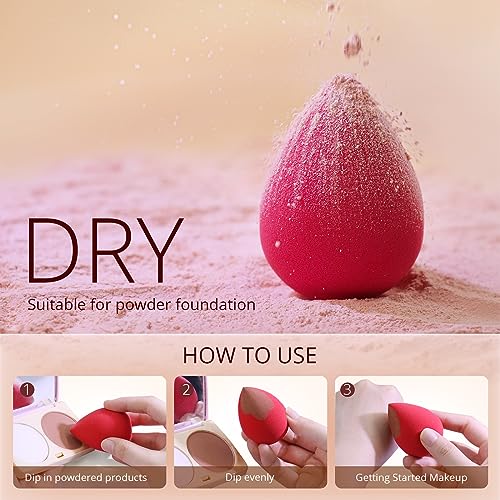 BEAKEY 5 Pcs Makeup Sponge Set Blender Beauty Foundation Blending Sponge, Flawless for Liquid, Cream, and Powder, Multi-colored Makeup Sponges