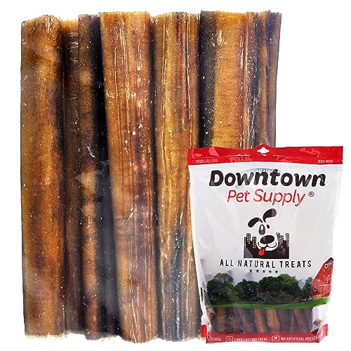 Downtown Pet Supply 6 inch Premium Natural Beef Bully Sticks, Jumbo Extra Thick Dog Dental Chew Treats, No Grain, High in Protein, Low in Fat (10 Pack)
