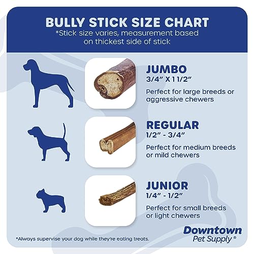 Downtown Pet Supply 6 inch Premium Natural Beef Bully Sticks, Jumbo Extra Thick Dog Dental Chew Treats, No Grain, High in Protein, Low in Fat (10 Pack)