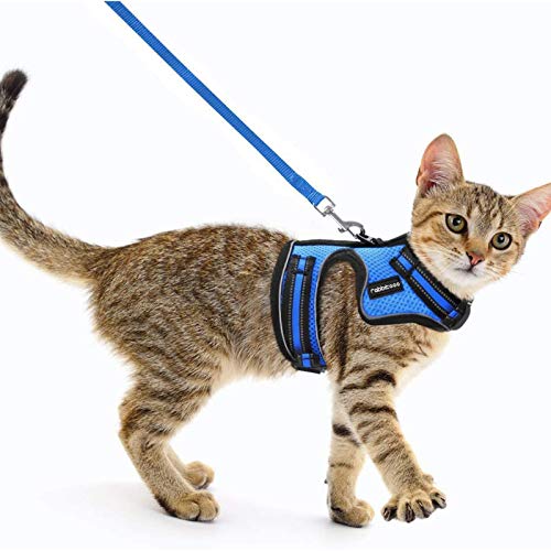 rabbitgoo Cat Harness and Leash for Walking Escape Proof, Soft Mesh Padded Pet Harness for Small Animals, Design with Metal Ring Double Buckles and Adjustable Velcro, Blue