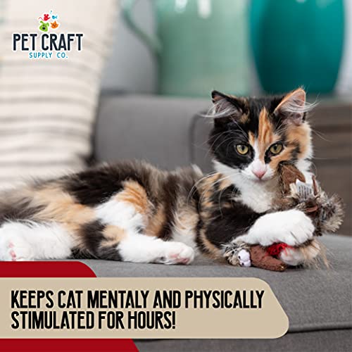 Pet Craft Supply Co. Kitty Condor Crazy Catnip Cuddler Funny Cuddling Chasing Hunting Irresistible Stimulating Soft Plush Boredom Relief Interactive Cat Toy with Realistic Feathers