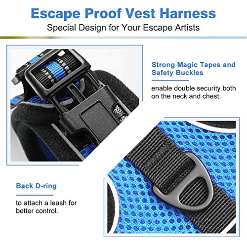 rabbitgoo Cat Harness and Leash for Walking Escape Proof, Soft Mesh Padded Pet Harness for Small Animals, Design with Metal Ring Double Buckles and Adjustable Velcro, Blue