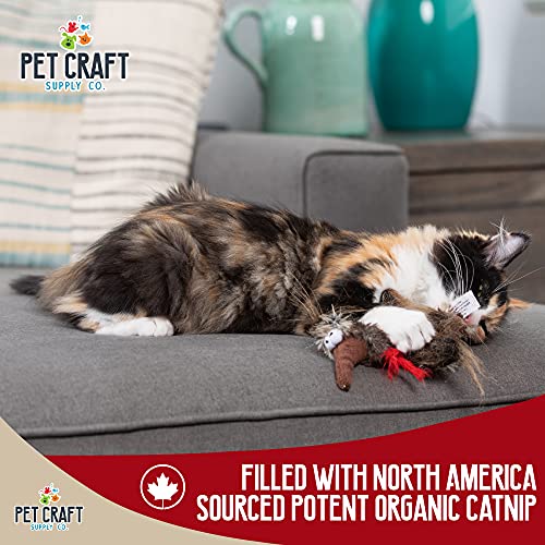 Pet Craft Supply Co. Kitty Condor Crazy Catnip Cuddler Funny Cuddling Chasing Hunting Irresistible Stimulating Soft Plush Boredom Relief Interactive Cat Toy with Realistic Feathers