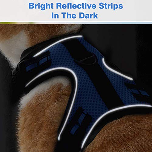 rabbitgoo Cat Harness and Leash for Walking Escape Proof, Soft Mesh Padded Pet Harness for Small Animals, Design with Metal Ring Double Buckles and Adjustable Velcro, Blue