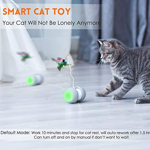 MalsiPree Robotic Interactive Cat Toy, Automatic Feather/Ball Teaser Toys for Kitten/Cats, USB Rechargeable Electronic Kitty Toy, Large Capacity Battery, All Floors/Carpet Available, 4 Bonus Feathers