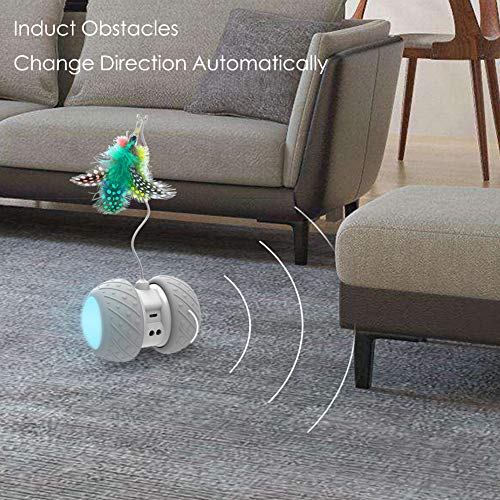 MalsiPree Robotic Interactive Cat Toy, Automatic Feather/Ball Teaser Toys for Kitten/Cats, USB Rechargeable Electronic Kitty Toy, Large Capacity Battery, All Floors/Carpet Available, 4 Bonus Feathers