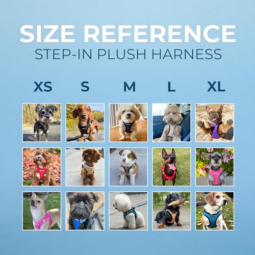 Voyager Step-In Plush Dog Harness â Soft Plush, Step In Vest Harness for Small and Medium Dogs by Best Pet Supplies - Chocolate Suede, XS (Chest: 13 - 14.5")