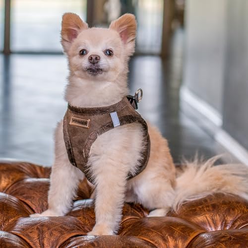 Voyager Step-In Plush Dog Harness â Soft Plush, Step In Vest Harness for Small and Medium Dogs by Best Pet Supplies - Chocolate Suede, XS (Chest: 13 - 14.5")