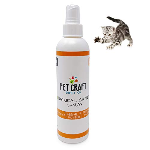 Pet Craft Supply Premium Potent Catnip Spray for Cats for Scratching Post All Natural Concentrated USA Grown & Harvested 8 oz Value Bottle Training Redirecting No Mess