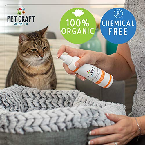 Pet Craft Supply Premium Potent Catnip Spray for Cats for Scratching Post All Natural Concentrated USA Grown & Harvested 8 oz Value Bottle Training Redirecting No Mess