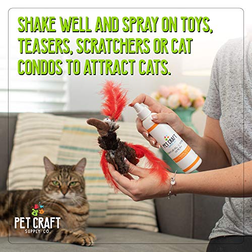 Pet Craft Supply Premium Potent Catnip Spray for Cats for Scratching Post All Natural Concentrated USA Grown & Harvested 8 oz Value Bottle Training Redirecting No Mess