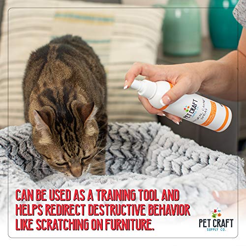 Pet Craft Supply Premium Potent Catnip Spray for Cats for Scratching Post All Natural Concentrated USA Grown & Harvested 8 oz Value Bottle Training Redirecting No Mess