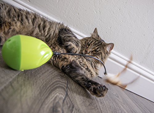 Petlinks Wild Thing Cat Toy Electronic Motion Toy