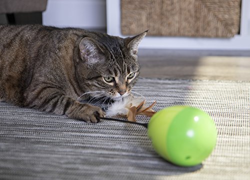 Petlinks Wild Thing Cat Toy Electronic Motion Toy