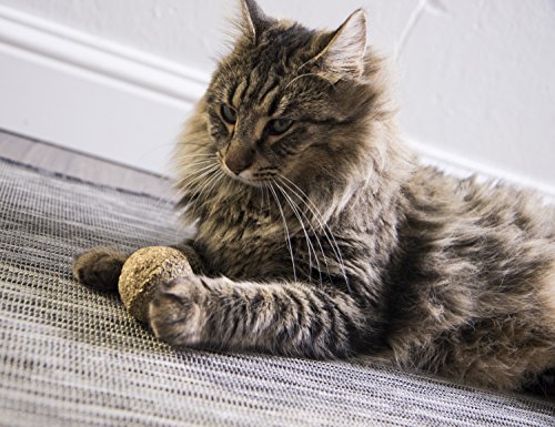 Catnip Kiss Compressed Ball Toy - Natural