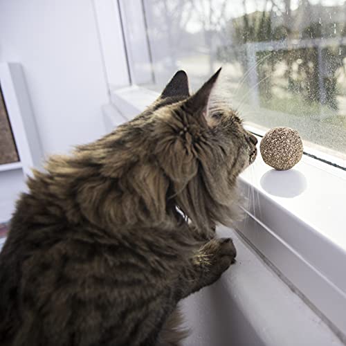 Catnip Kiss Compressed Ball Toy - Natural