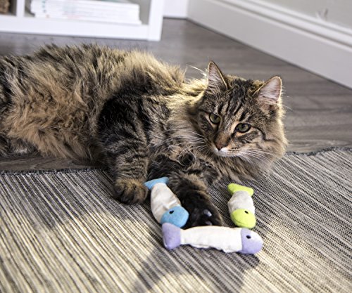 SmartyKat Fish Flop Catnip Cat Toys - Multi Color