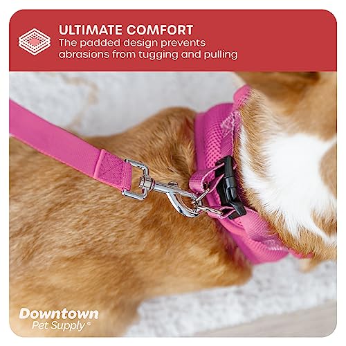 Downtown Adjustable Dog Harness with Padded Vest, Pink, X-Small