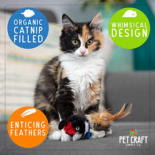 Pet Craft Supply Co. Batty Bird & Quirky Quail Funny Cuddling Chasing Irresistible Stimulating Soft Plush Boredom Relief Interactive Catnip Filled Cat Toy with Realistic Feathers 2 Pack