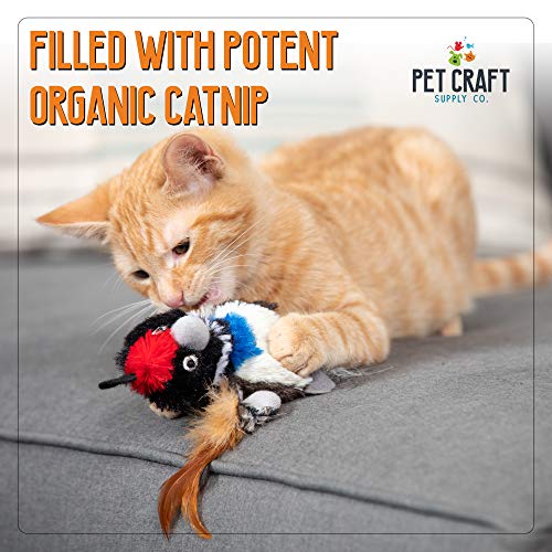 Pet Craft Supply Co. Batty Bird & Quirky Quail Funny Cuddling Chasing Irresistible Stimulating Soft Plush Boredom Relief Interactive Catnip Filled Cat Toy with Realistic Feathers 2 Pack