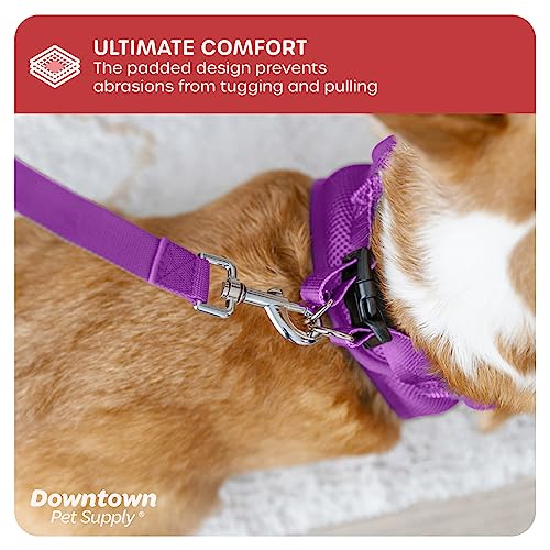 Downtown Pet Supply No Pull, Step in Adjustable Dog Harness with Padded Vest, Easy to Put on Small, Medium and Large Dogs (Purple, S)