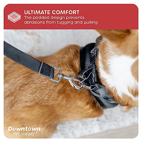 Downtown Pet Supply No Pull, Step in Adjustable Dog Harness with Padded Vest, Easy to Put on Small, Medium and Large Dogs (Charcoal, XS)