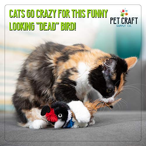 Pet Craft Supply Co. Batty Bird & Quirky Quail Funny Cuddling Chasing Irresistible Stimulating Soft Plush Boredom Relief Interactive Catnip Filled Cat Toy with Realistic Feathers 2 Pack