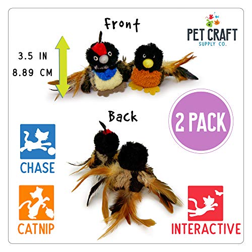 Pet Craft Supply Co. Batty Bird & Quirky Quail Funny Cuddling Chasing Irresistible Stimulating Soft Plush Boredom Relief Interactive Catnip Filled Cat Toy with Realistic Feathers 2 Pack