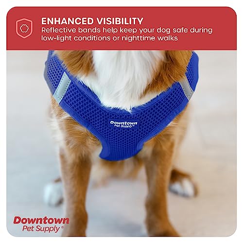 Downtown Pet Supply No Pull, Step in Adjustable Dog Harness with Padded Vest, Easy to Put on Small, Medium and Large Dogs (Blue, S)