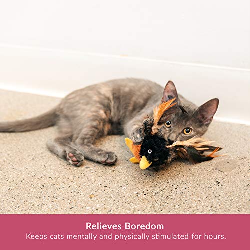 Pet Craft Supply Co. Batty Bird & Quirky Quail Funny Cuddling Chasing Irresistible Stimulating Soft Plush Boredom Relief Interactive Catnip Filled Cat Toy with Realistic Feathers 2 Pack