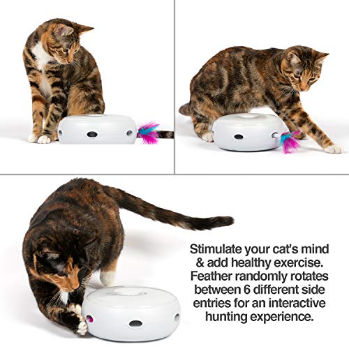 PetFusion Ambush Interactive Electronic Cat Toy with Rotating Feather. (Smart Modes, Nighttime Light, Auto Shut-Off, Batteries Included). Replacement Feathers Available. 12 Month Warranty
