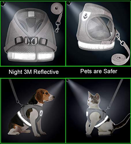 Cat Harnesses and Puppy Harness with Leashes Set, Escape Proof Cat Harness, Adjustable Reflective Soft Mesh Vest Fit Puppy Kitten Rabbit Ferrets's Outdoor Harness (Grey, M, Chest: 13" - 14")