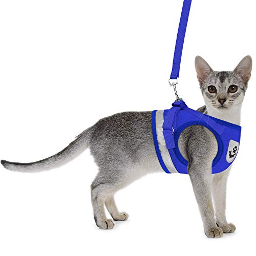 Cat Harnesses and Puppy Harness with Leashes Set, Escape Proof Cat Harness, Adjustable Reflective Soft Mesh Vest Fit Puppy Kitten Rabbit Ferrets's Outdoor Harness (Blue, S, Chest: 10" - 12")