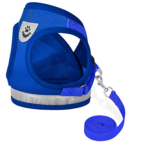 Cat Harnesses and Puppy Harness with Leashes Set, Escape Proof Cat Harness, Adjustable Reflective Soft Mesh Vest Fit Puppy Kitten Rabbit Ferrets's Outdoor Harness (Blue, S, Chest: 10" - 12")