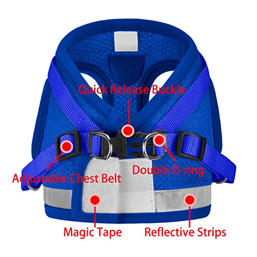 Cat Harnesses and Puppy Harness with Leashes Set, Escape Proof Cat Harness, Adjustable Reflective Soft Mesh Vest Fit Puppy Kitten Rabbit Ferrets's Outdoor Harness (Blue, S, Chest: 10" - 12")