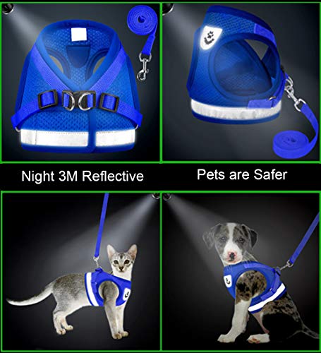 Cat Harnesses and Puppy Harness with Leashes Set, Escape Proof Cat Harness, Adjustable Reflective Soft Mesh Vest Fit Puppy Kitten Rabbit Ferrets's Outdoor Harness (Blue, S, Chest: 10" - 12")