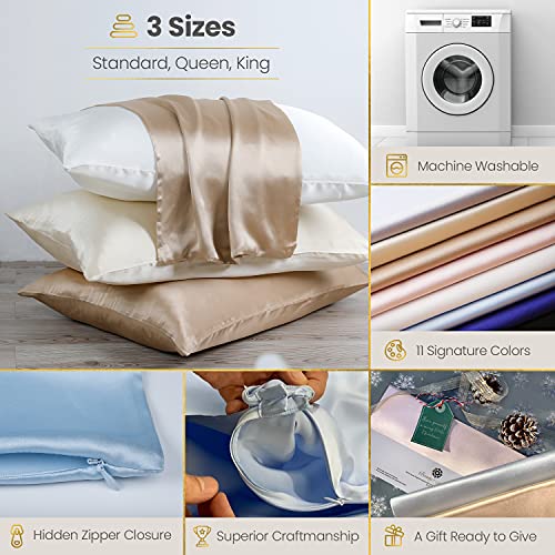 BEAUTY OF ORIENT - 100% Pure Mulberry Silk Pillowcase for Hair and Skin, 19 Momme Both Sides, Hidden Zipper - Natural Hypoallergenic Silk Pillow Case - (1pc Standard - 20" x 26", Silver Lining)