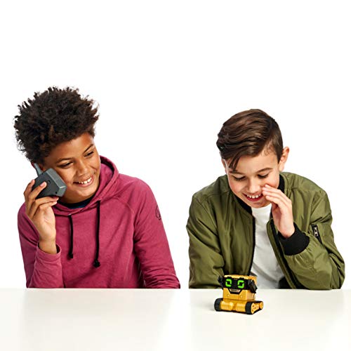 Really Rad Robots - Mibro Gold - Plays, Talks, and Pranks (Amazon Exclusive)