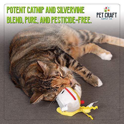 Pet Craft Supply Silly Snacks and Funny Food Crinkle Cuddling Catnip and Silvervine Interactive Cat Toys - Great for Indoor Cats and Kittens