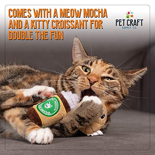 Pet Craft Supply Silly Snacks and Funny Food Crinkle Cuddling Catnip and Silvervine Interactive Cat Toys - Great for Indoor Cats and Kittens