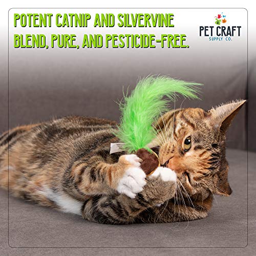Pet Craft Supply Silly Snacks and Funny Food Crinkle Cuddling Catnip and Silvervine Interactive Cat Toys - Great for Indoor Cats and Kittens