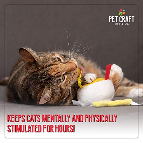 Pet Craft Supply Silly Snacks and Funny Food Crinkle Cuddling Catnip and Silvervine Interactive Cat Toys - Great for Indoor Cats and Kittens