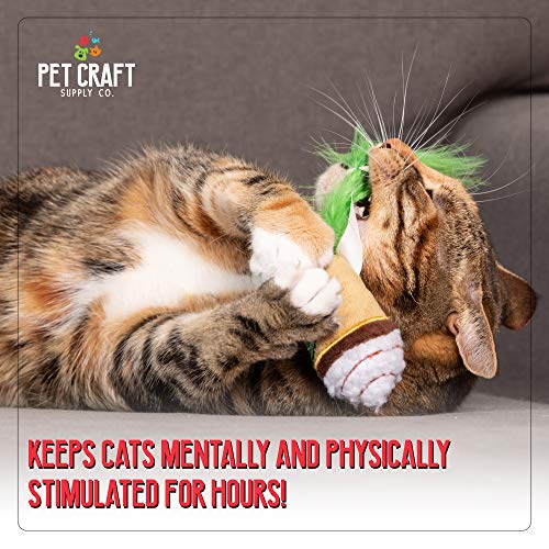 Pet Craft Supply Silly Snacks and Funny Food Crinkle Cuddling Catnip and Silvervine Interactive Cat Toys - Great for Indoor Cats and Kittens