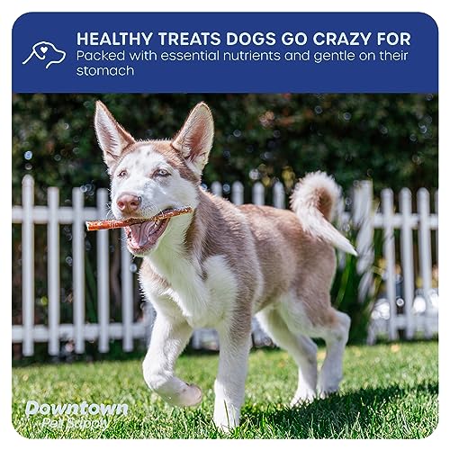 Downtown Pet Supply 6 inch Bully Sticks - Standard Regular Thick Select Dog Dental Chew Treats (12 Pack)