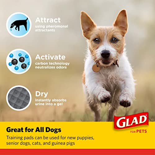 Black Charcoal Puppy Pads | Instant Urine Absorption