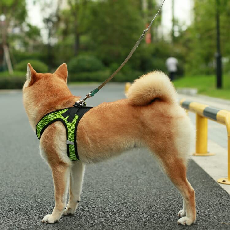 Voyager Step-In Air Dog Harness - All Weather Mesh Step in Vest Harness for Small and Medium Dogs by Best Pet Supplies - Red, X-Small