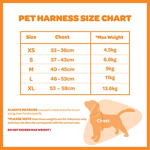 Voyager Step-In Plush Dog Harness â Soft Plush, Step In Vest Harness for Small and Medium Dogs â By Best Pet Supplies - Latte Suede, X-Large (Chest: 21" - 23")