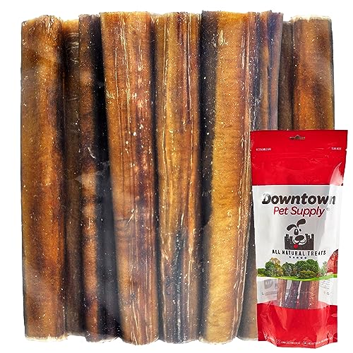 Downtown Pet Supply 6 inch Premium Natural Beef Bully Sticks, Jumbo Extra Thick Dog Dental Chew Treats - No Grain, High in Protein, Low in Fat (5 Pack)