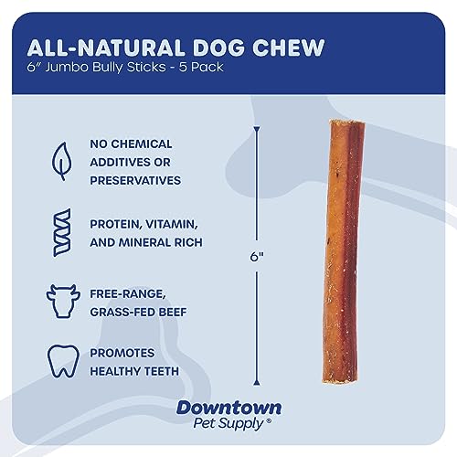 Downtown Pet Supply 6 inch Premium Natural Beef Bully Sticks, Jumbo Extra Thick Dog Dental Chew Treats - No Grain, High in Protein, Low in Fat (5 Pack)