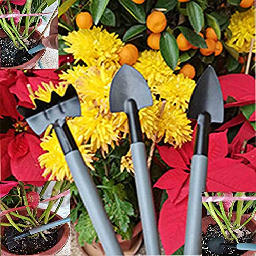 TOORGGOO Gardening Tools Set 13 Pieces,Ergonomic Handle Trowel Rake Weeder Pruner Shears Sprayer, Garden Hand Tools with Carrying Case Gardening Gifts for Women